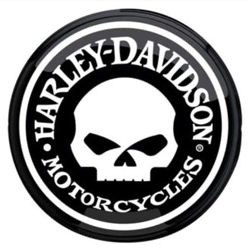 Ace Branded Product Harley Davidson Skull Pub Light