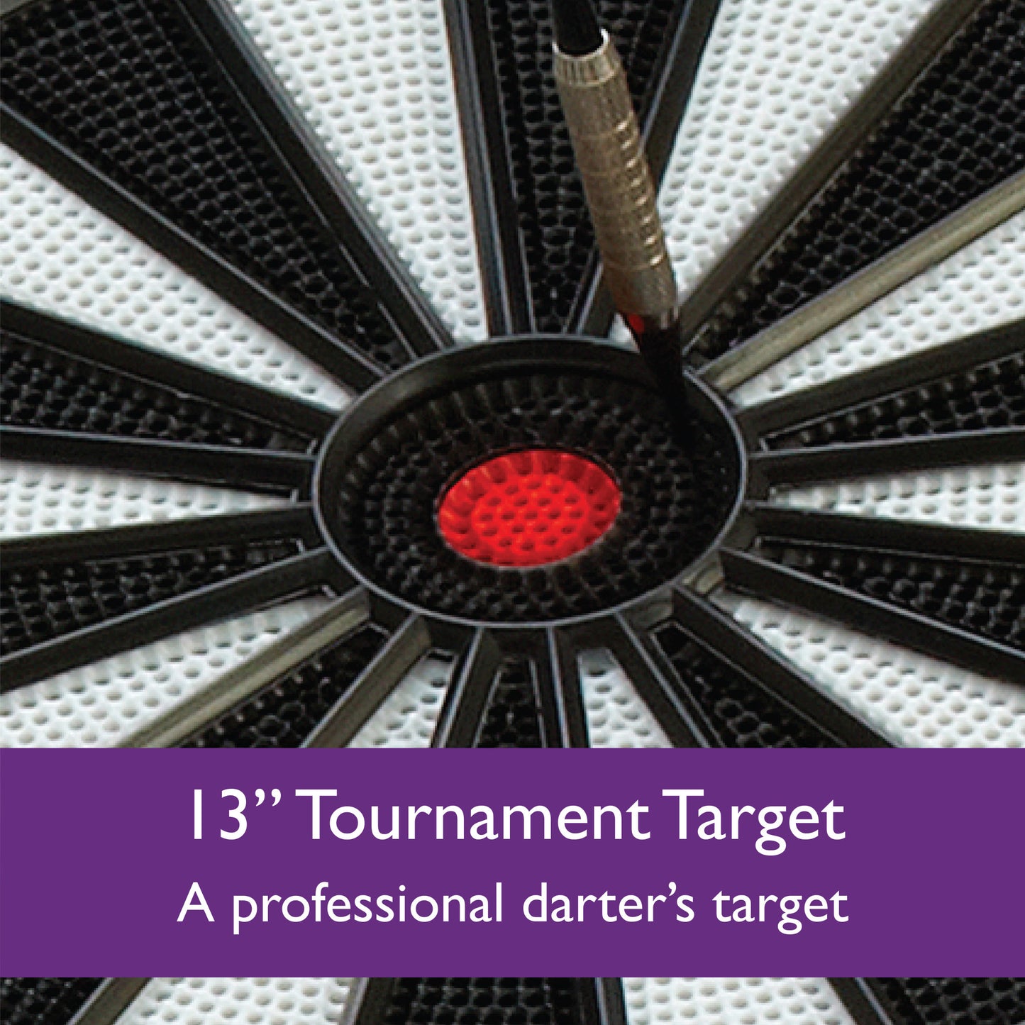 Fat Cat Electronx Electronic Dartboard & Cabinet Combo