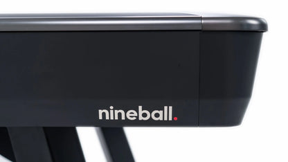 Rasson Wolf Billiard Table